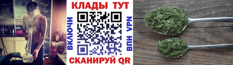 Где купить наркотики Купино Бошки Шишки  СОЛЬ  Меф мяу мяу  COCAIN 