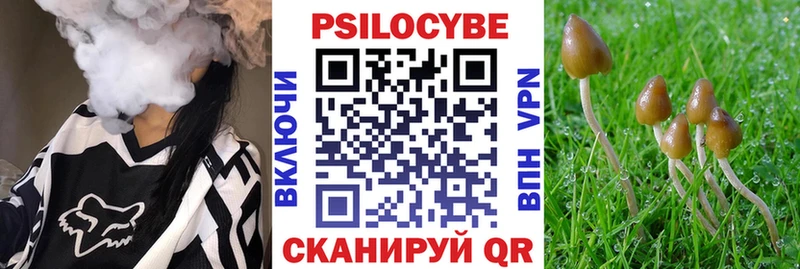 Псилоцибиновые грибы Magic Shrooms  Купино 